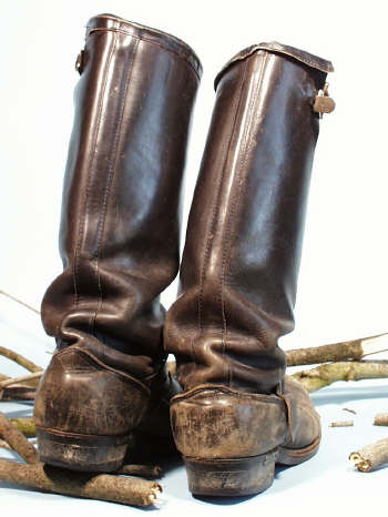 Chippewa