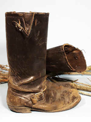 Size 12D's