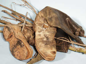 Chippewa's