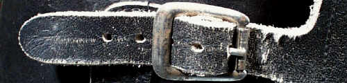 The Buckle